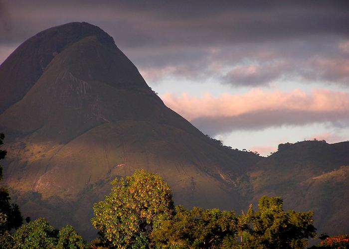 Centro Terra Viva - Estudos e Advocacia Ambiental