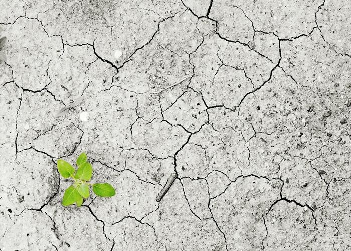 Ecologistes en acció