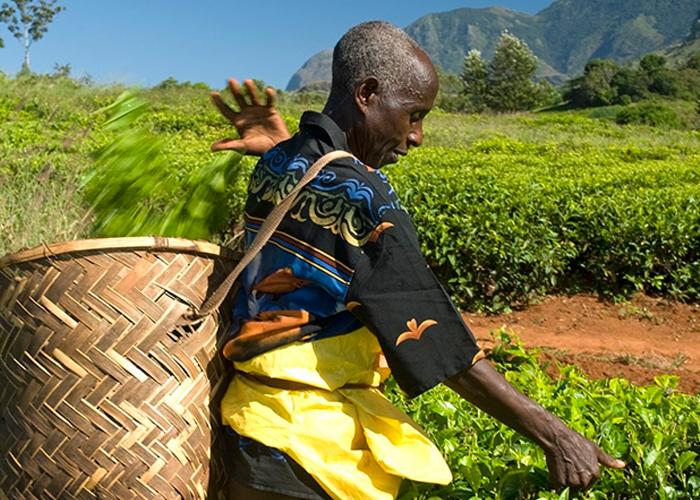 Fairtrade Ibérica
